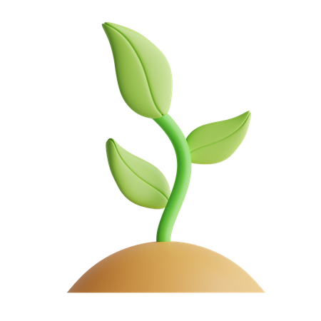 Plant  3D Icon