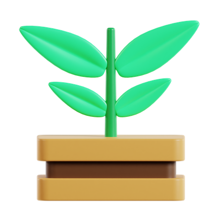 Plant  3D Icon