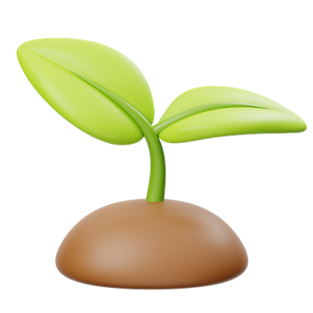 Plant  3D Icon