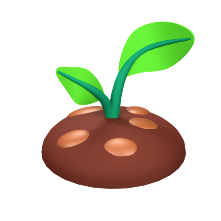 Plant  3D Icon