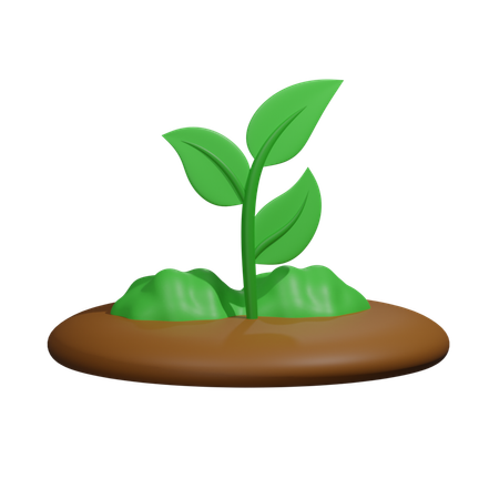 Plant  3D Icon