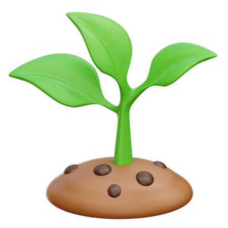 Plant  3D Icon