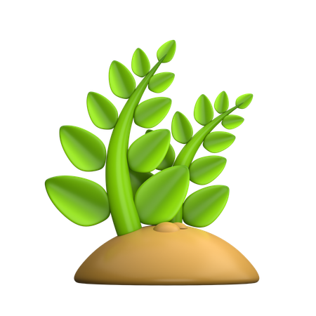 Plant  3D Icon