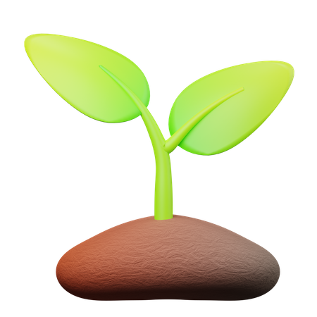 Plant  3D Illustration