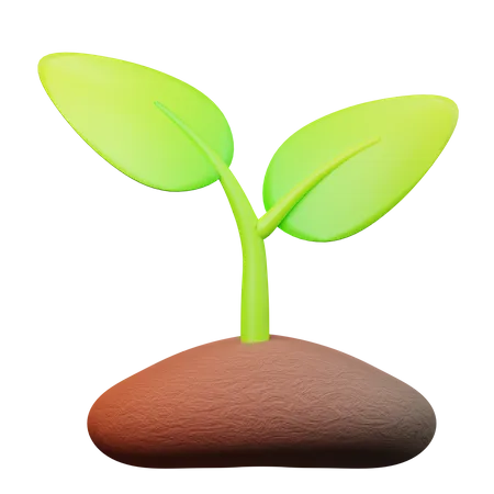 Plant  3D Illustration