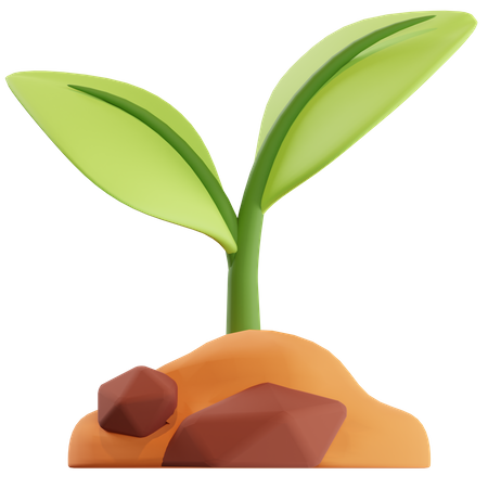 Plant  3D Illustration