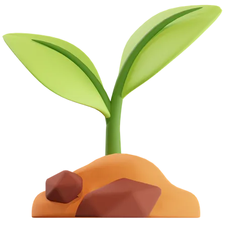 Plant  3D Illustration