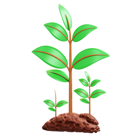 Plant  3D Illustration