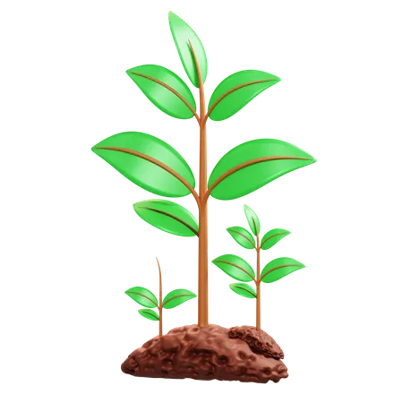 Plant  3D Illustration