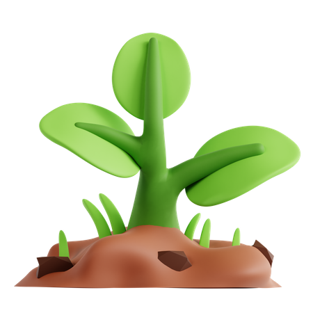 Plant 3D Icon