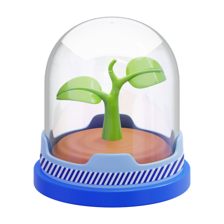 Plant A Glass Dome  3D Icon