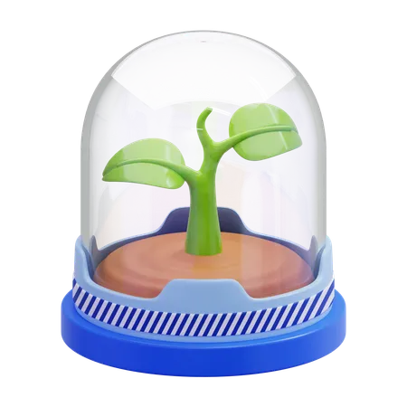 Plant A Glass Dome  3D Icon