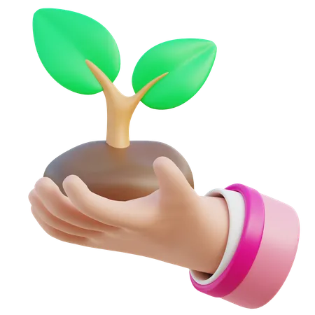 木を植える  3D Icon