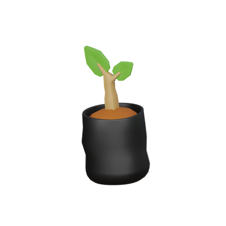 Plant Bag  3D Icon