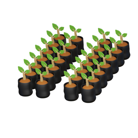 Plant Bag  3D Icon