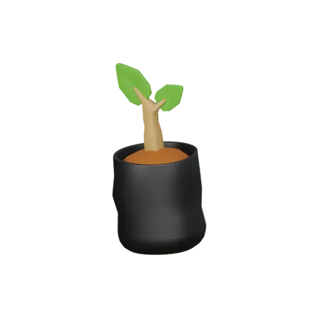 3 D Plant In Bag 3D Icon