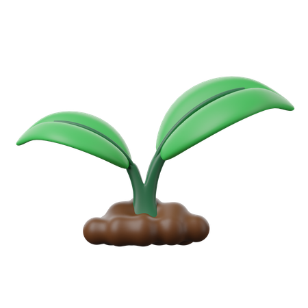 Plant Based  3D Icon
