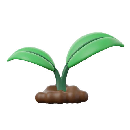 Plant Based  3D Icon