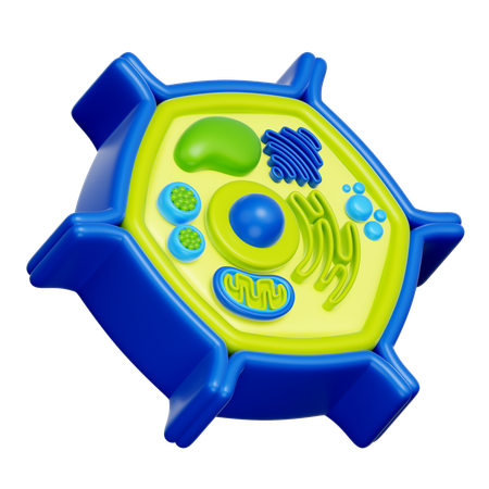 식물 세포  3D Icon
