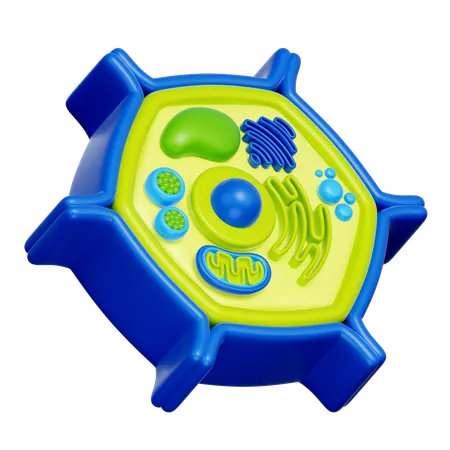 식물 세포  3D Icon