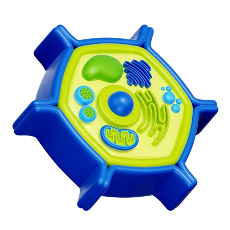 Plant Cell  3D Icon