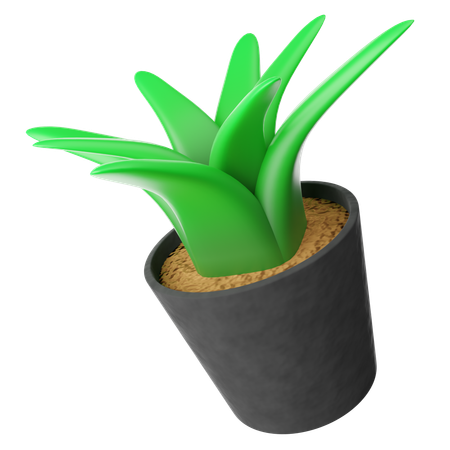 Plant Decoration  3D Icon