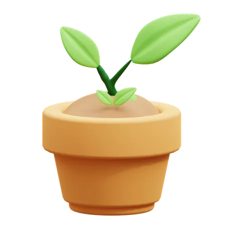 Plant Growth  3D Icon