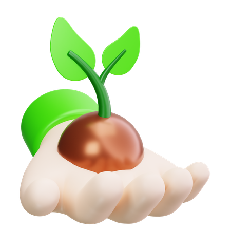 Plant Growth  3D Icon