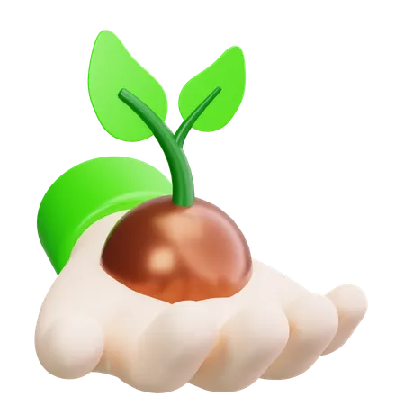 Plant Growth  3D Icon