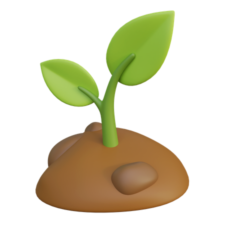 Plant Growth  3D Icon