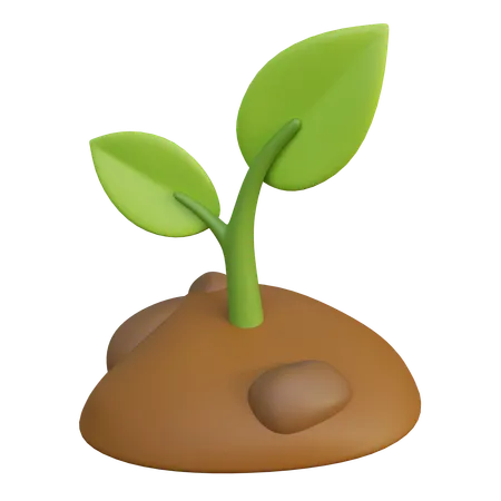 Plant Growth  3D Icon
