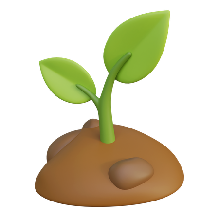 Plant Growth  3D Icon