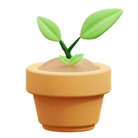 Plant Growth  3D Icon