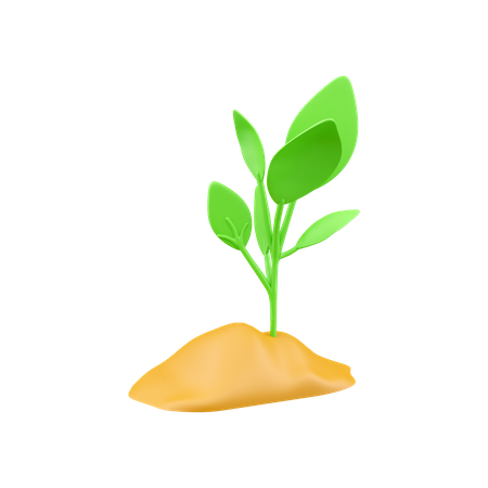 Plant Growth 3D Icon