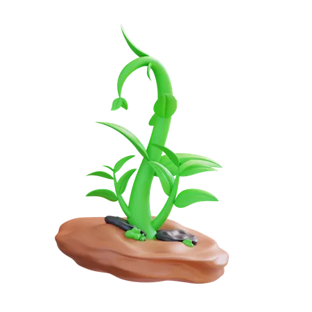 3 D Illustration Of Plant Growth 3D Icon