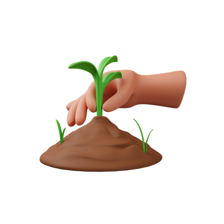 Plant hand gesture  3D Icon