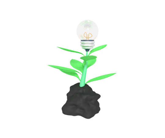 Plant Idea  3D Icon