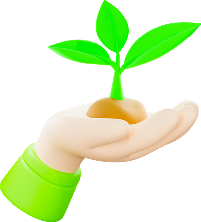 Plant In Hand  3D Icon