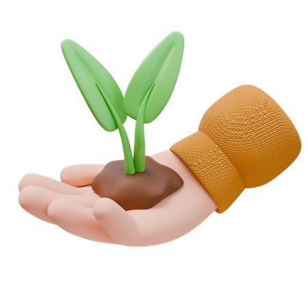 Plant In Hand  3D Icon