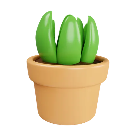 3 D Plant In Plant Pot Floral Arrangement Garland Icon Isolated On White Background 3 D Rendering Illustration Clipping Path 3D Icon