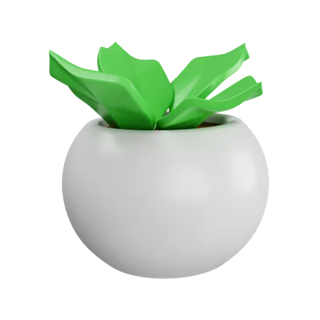 Plant In Plant Pot  3D Icon