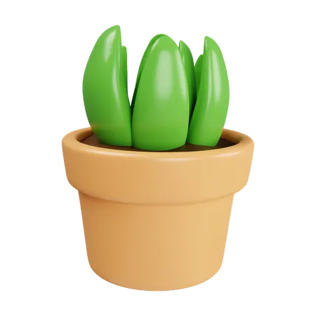 Plant In Plant Pot  3D Icon