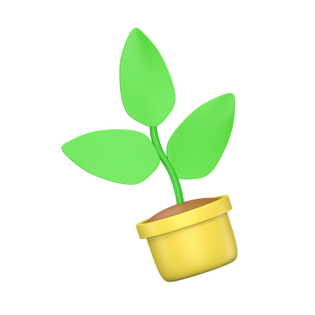 Plant In Pot  3D Icon