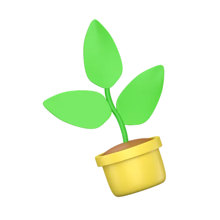 Plant In Pot  3D Icon