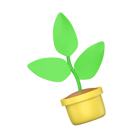 Plant In Pot 3D Icon