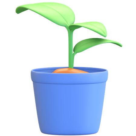Plant inside pot 3D Illustration