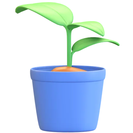 Plant inside pot  3D Illustration