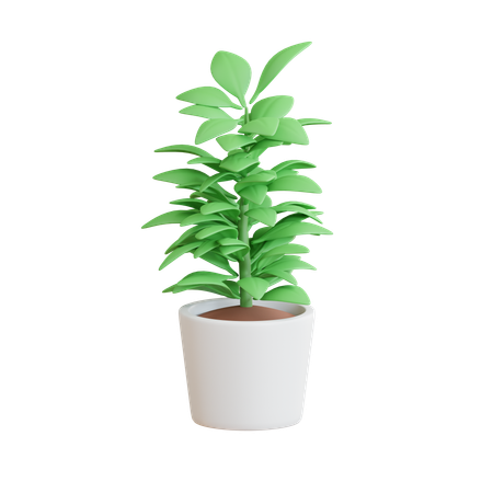Plant on Pot  3D Icon