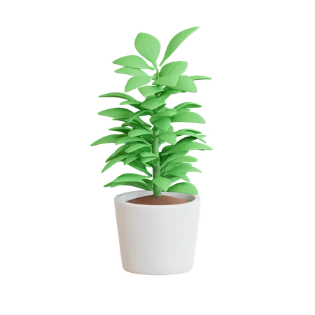 Plant on Pot  3D Icon