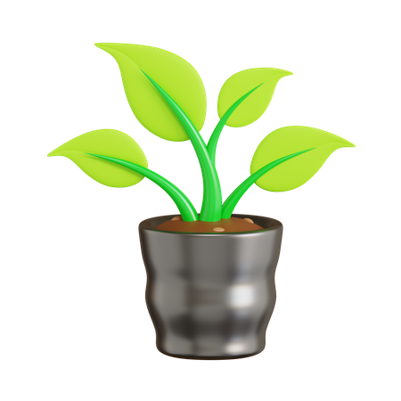 Plant Poly Bag  3D Icon